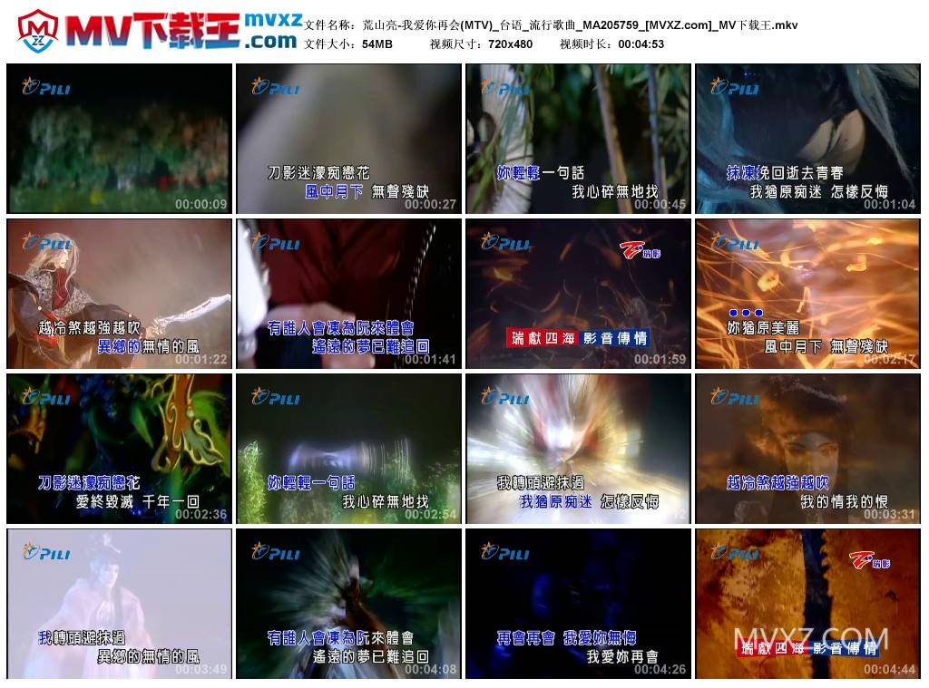 荒山亮-我爱你再会(MTV)_台语_流行歌曲_MA205759